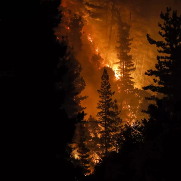 Decretan toque de queda en zonas de incendios en Chile