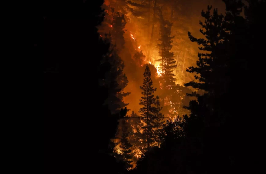 Decretan toque de queda en zonas de incendios en Chile